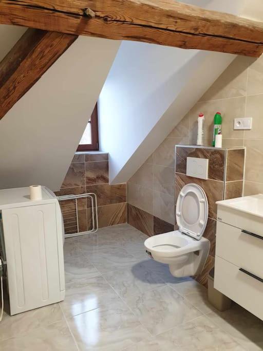 Apartment U Cerneho Orla Karlovy Vary Esterno foto